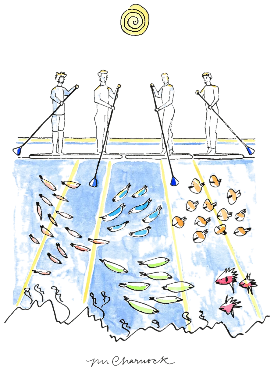 Ink and watercolour drawing of four paddleboarders in a row above a cutaway of the water beneath them, shoals of pink, blue, orange and green fish in blue wash, a yellow spiral sun overhead